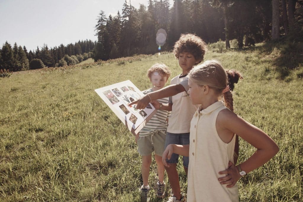 trois enfants dans la foret regardent un dessein